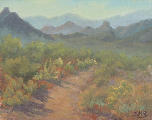 Sun Shining on the Sarasota Trailhead