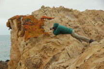 Up Close and Personal