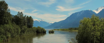 Shot While the RV was Rolling